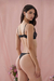 CONJUNTO SIRED en internet