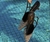 scarpin ella preto na internet