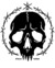 Skull LM - loja online