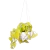 Maceta Balloon Voladora - comprar online