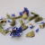 Té en Hebras PASSIFLORA en internet