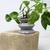 Maceta Scala Chica - comprar online