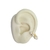 Piercing Fake 7 Pérolas - Banhos - comprar online