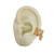 Piercing Fake Mola Com Zircônias