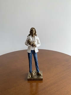 estatueta veterinária - comprar online