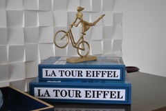 Escultura Bicicleta - Delicatta Home Decor