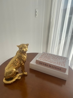 livro caixa G na internet