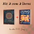 Kit 2 com 2 livros: O Homem e Seus Símbolos e Jung: O Mapa da Alma do autor C. C. Jung