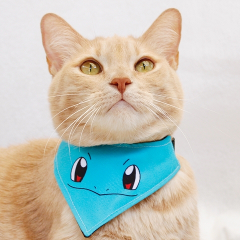 Bandana Squirtle - comprar en línea