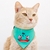 Bandana Bulbasaur - comprar en línea