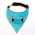 Bandana Squirtle en internet