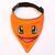 Bandana Charmander en internet