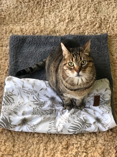 MANTA PAQUI (GRIS)