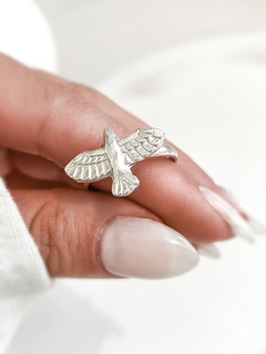 Anillo IBI en internet