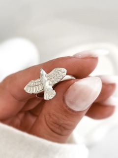 Anillo IBI