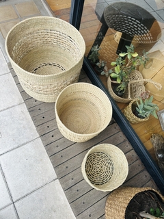 Canastos Palma chicos - TOCA MADERA