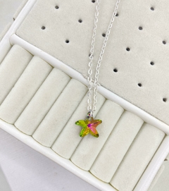 Conjunto Estrella de Mar Tornasol