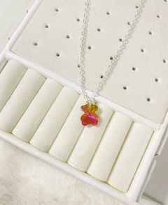 Conjunto Osito Tornasol