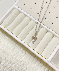 Conjunto Delfin