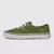 Tênis Vans Skate Authentic PRO - GREEN WHITE - loja online