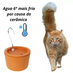 Bebedouro de Cerâmica Elétrico para Gatos e Cães – Fonte de Água Corrente, Silenciosa, Econômica e de Alta Capacidade para Hidratação Saudável na internet