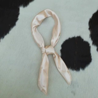 LENCO GAUCHO LISO BEGE