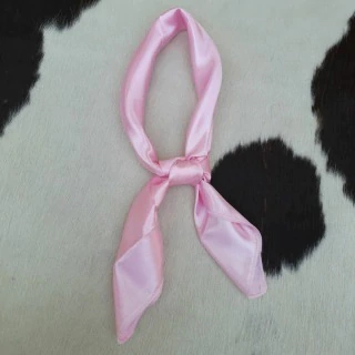 LENCO GAUCHO LISO ROSA CLARO