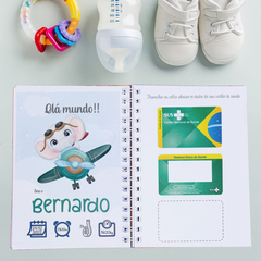 Imagem do Combo do bebê elefante aviador
