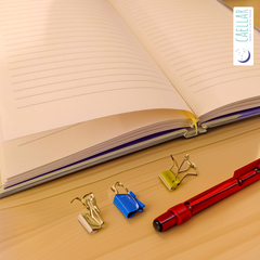 Sketchbook lombada cactos - comprar online