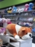 Pelumanta bulldog en internet