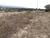 Lotes en Santacruz, Tlaxcala - comprar en línea