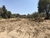 Lotes en la Malintzi, Tlaxcala en internet