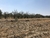 Lotes en la Malintzi, Tlaxcala - comprar en línea