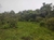 Rancho Zihuateutla, Puebla - comprar en línea