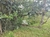 Rancho Zihuateutla, Puebla en internet