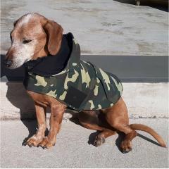 Moletom Camuflado Cachorro