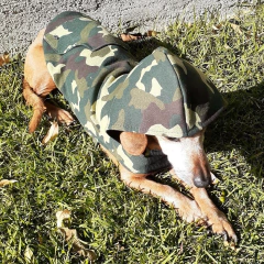 Moletom Camuflado Cachorro