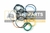 REPARO 37318 - 84257323 CASE - comprar online