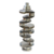 VB244 - VIRABREQUIM MOTOR FIAT/IVECO/FPT 2.8 - 4CIL