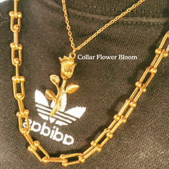 Collar Flower Bloom