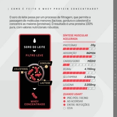 WHEY PROTEIN CONCENTRADO 450G BAUNILHA - DUX na internet