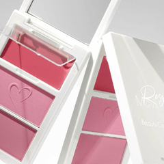 PALETA RUBORES ROSY MCMICHAEL VOL 2