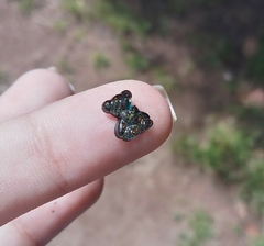 Aplique para uñas de osito en internet