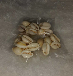 Caracol natural x5 unidades - comprar online