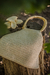 Cartera