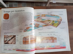 A pré-história - Sebo Raridades