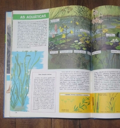 Imagem do Pesquisa de Conhecer (Biologia Geral e Ecologia)