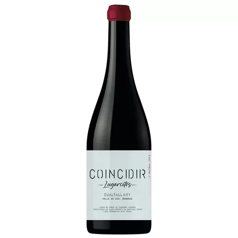 Lugarcitos Malbec (Coincidir) - comprar online