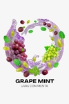 Element Aire line Grape Mint