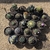 Kit Com 20 Cactos Variados